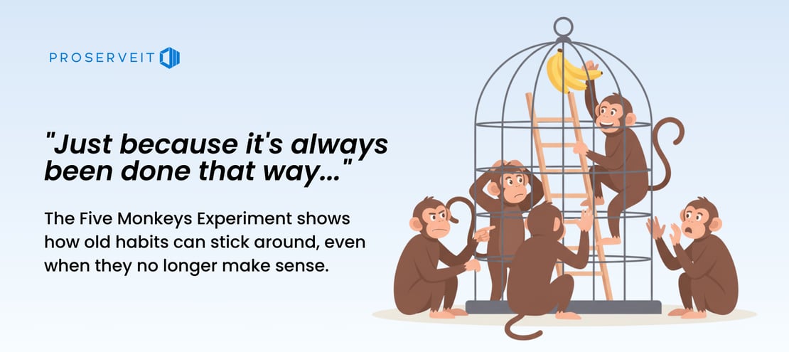 5 Monkeys Experiment banner "The five Monkeys Experiment shows how old habits can stick around, even when they no longer make sense"