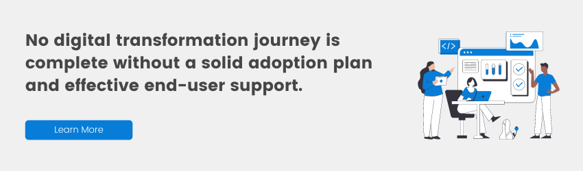 Adoption plan and effective end-user support