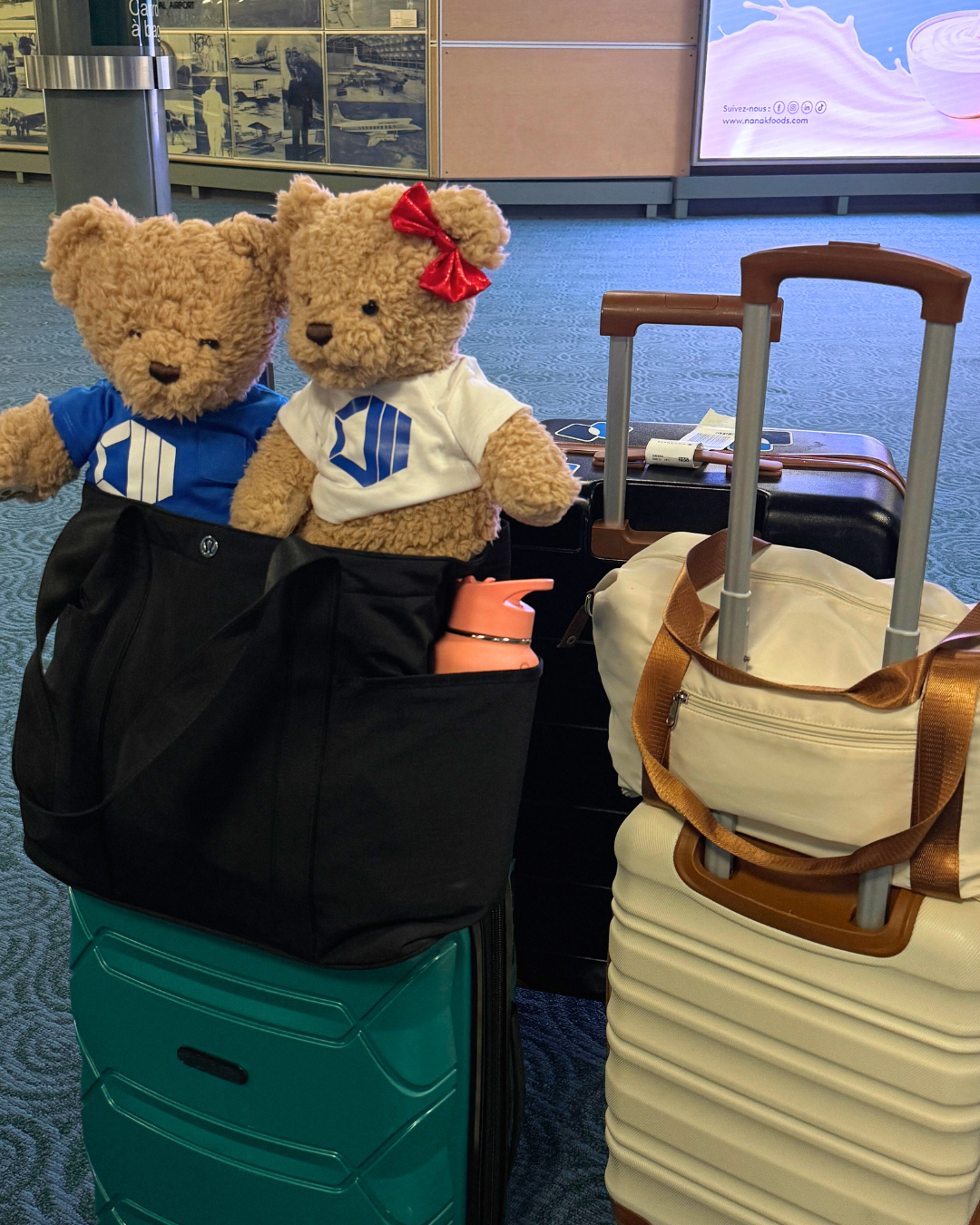 Hope and Hugo, ProServeIT's brand ambassadors cozy in a bag, travelling to Calgary