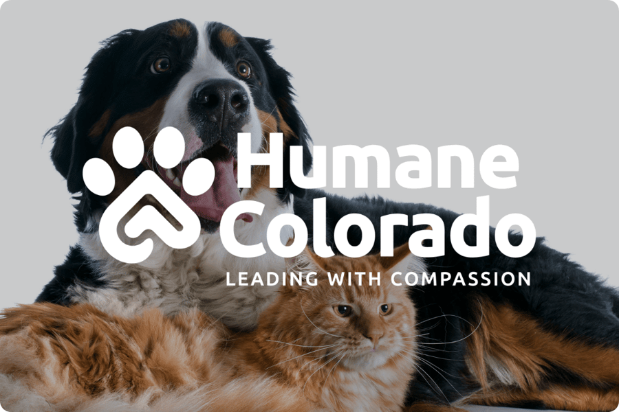 Human Colorado (DDFL) - Case Study Card