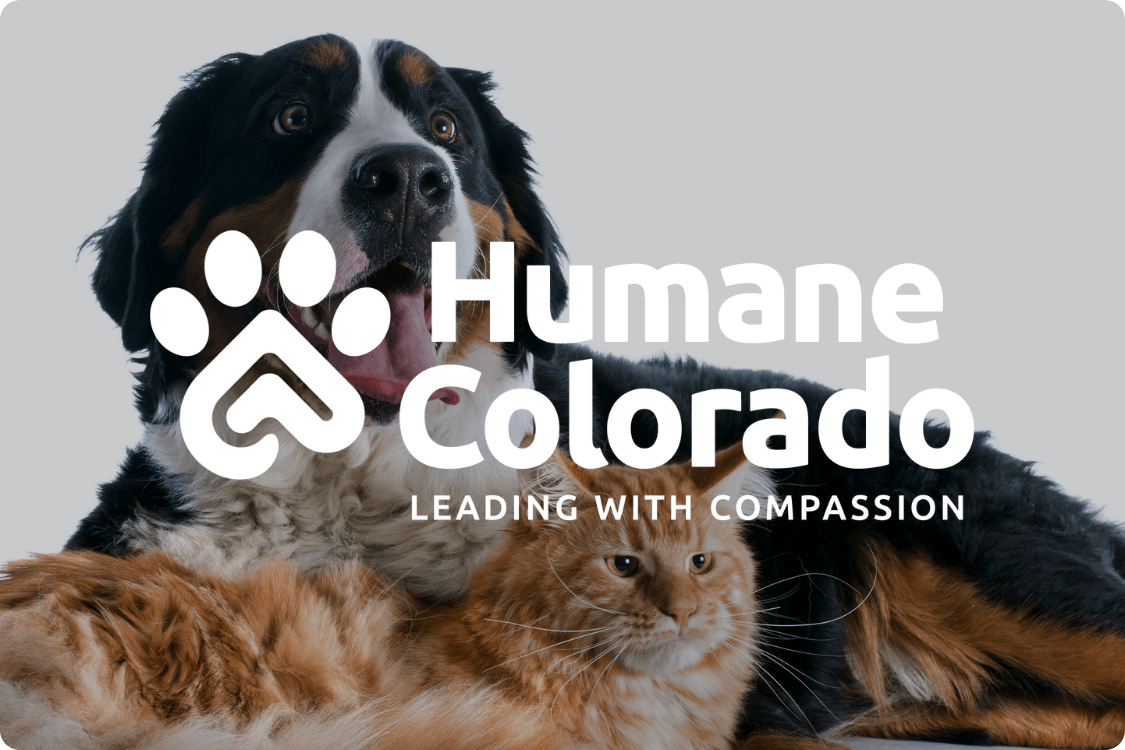 Human Colorado (DDFL) - Case Study Card