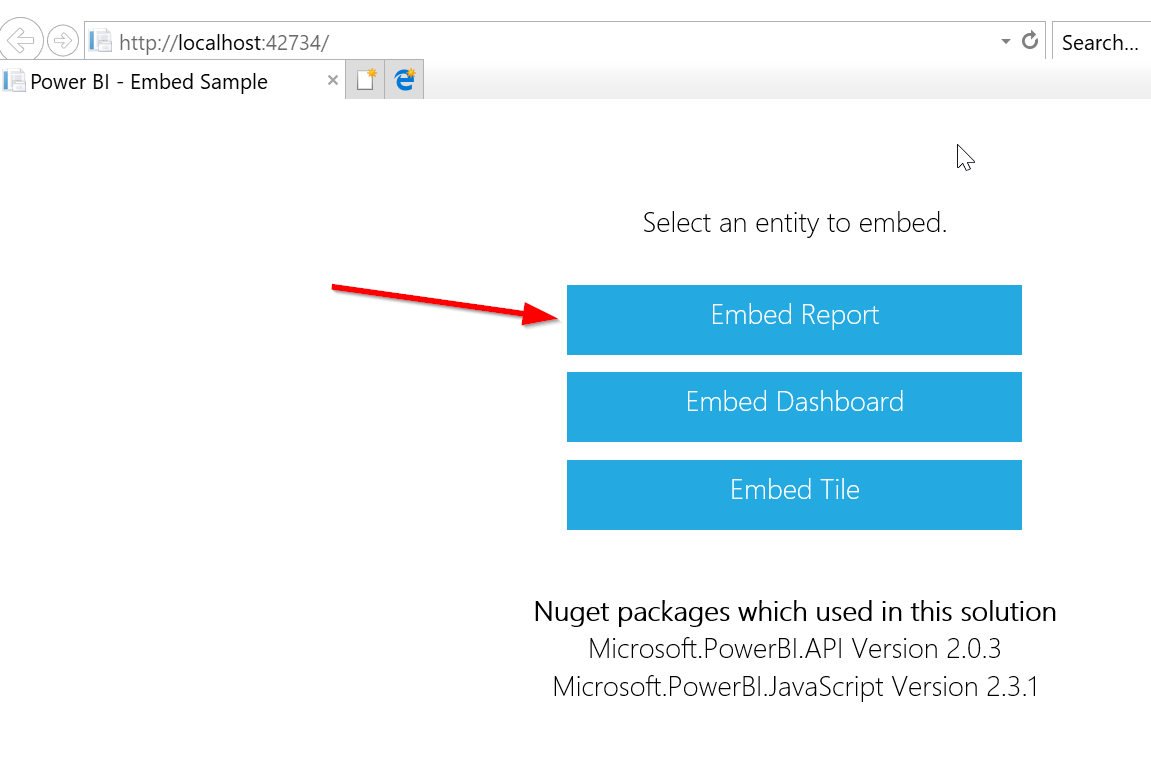 Embed Report Power BI Embedding Environment