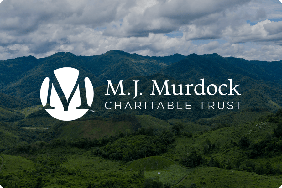 M.J Murdock - Case Study Card