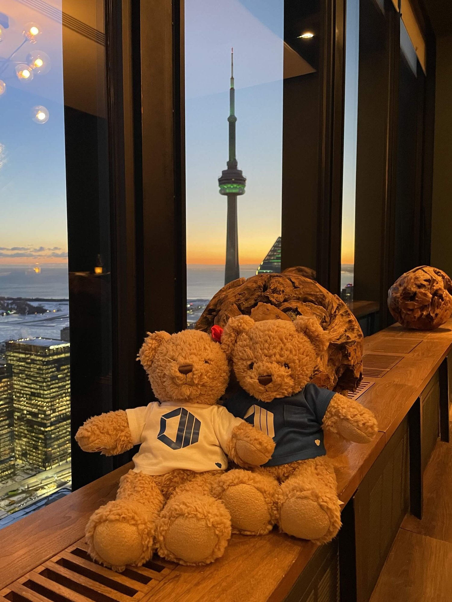 Executive salon dinner at Canoe hosted by ProServeIT and Hope & Hugo in Toronto, featuring views of the CN Tower