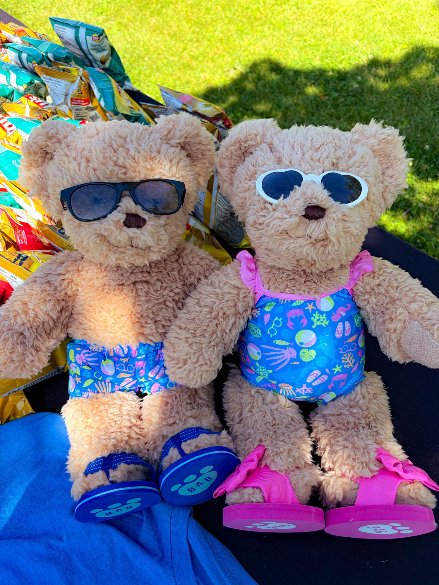 Hope and Hugo, ProServeIT's brand ambassadors, pictured relaxing at the Toronto Islands during a summer social event