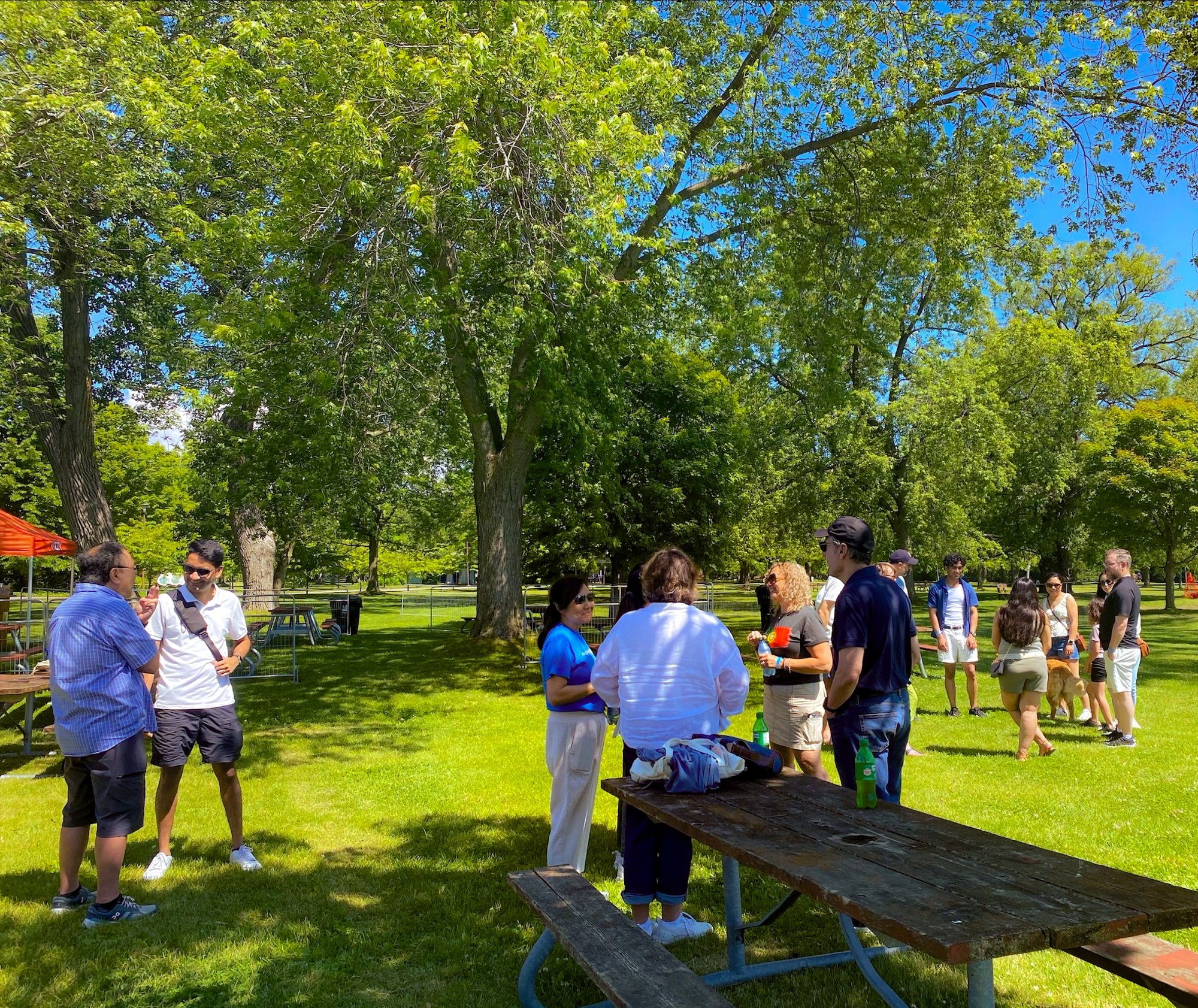 ProServeIT and Linezero team members at the Toronto Islands for a summer social event