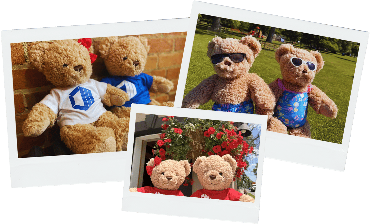 Three teddy bear photo snapshots showing Hope & Hugo in matching outfits, sunglasses, and outdoor settings, illustrating shared experiences and group behaviours