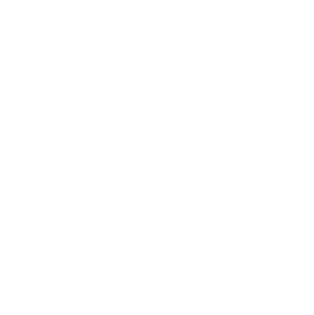 brand-experience-house-icon-w
