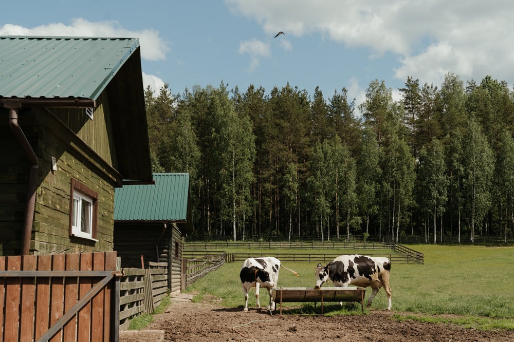 Microsoft Azure Migration for Canadian Dairy Industry