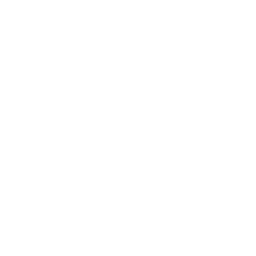 security-house-icon-w