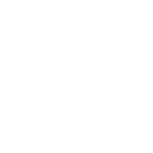 Protection Shield Icon