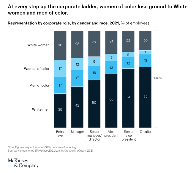 McKinsey BIPOC Study